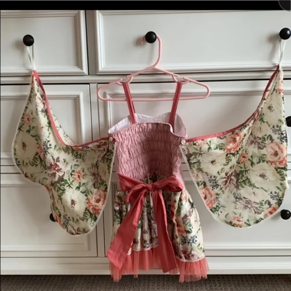 Well Dressed Wolf | Dresses | Wdw Well Dressed Wolf Fairy Winged Tunic Dress  3t | Poshmark